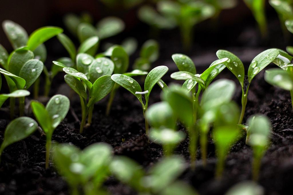 People collaborating in urban sustainability projects