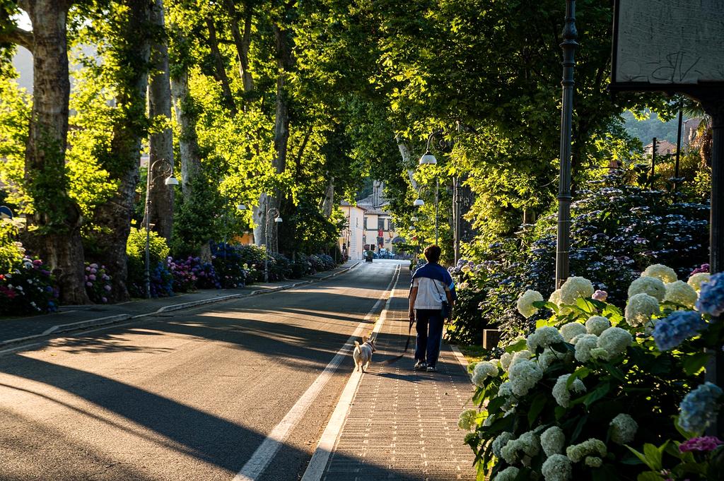 Recycling sorting bins in urban setting