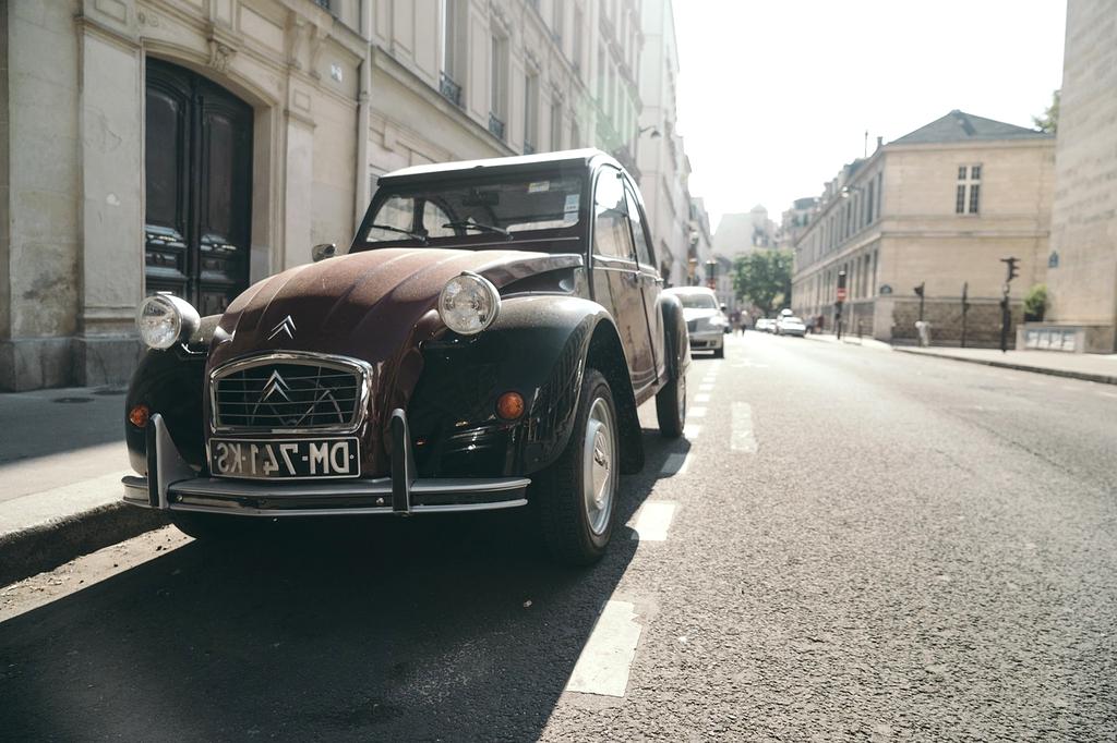 EcoLearn team working in an urban garden
