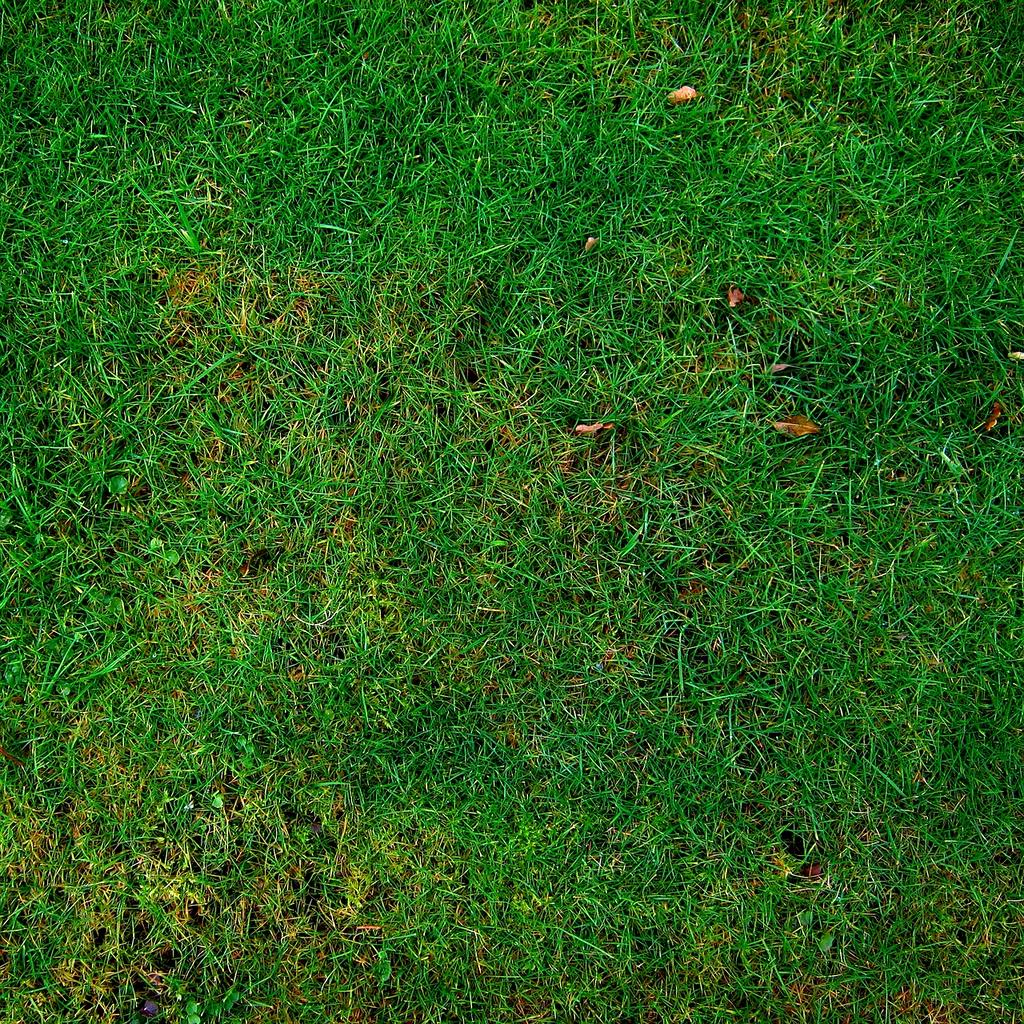 Illustration of sustainable urban lifestyle elements