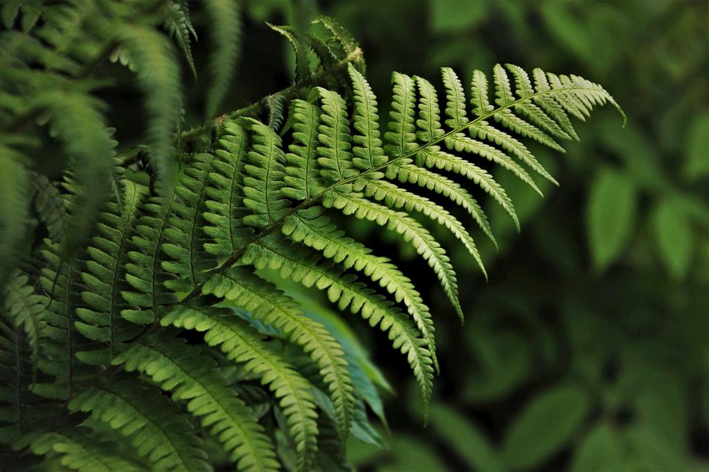 Illustration of water saving tips